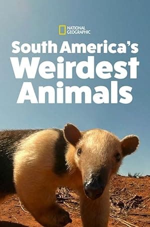 South America's Weirdest Animals