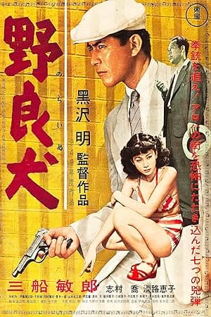 Stray Dog (1949)