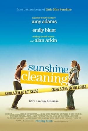 Sunshine Cleaning (2008)