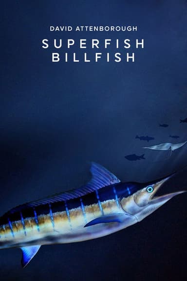 Superfish: Billfish