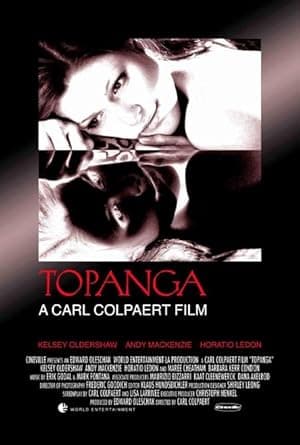 The Affair (2004)