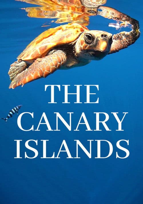 The Canary Islands (2023)