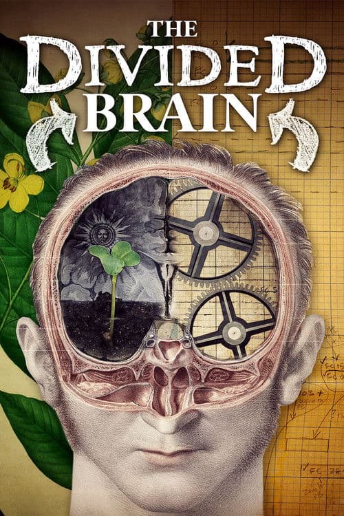 The Divided Brain (2019)