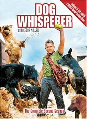 The Dog Whisperer