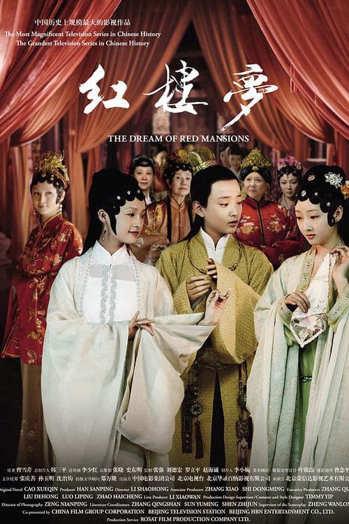 The Dream of Red Mansions (2010)