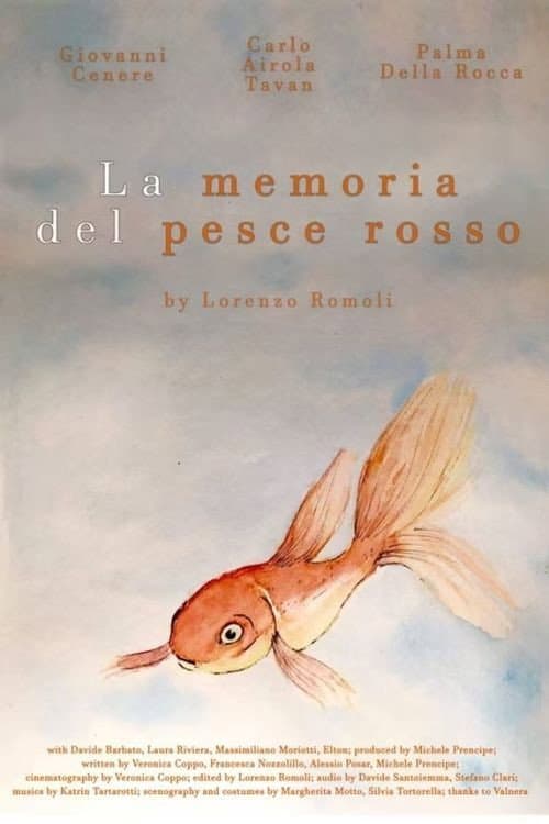 The Goldfish Memory (2016)