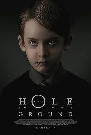 The Hole in the Ground (2019)