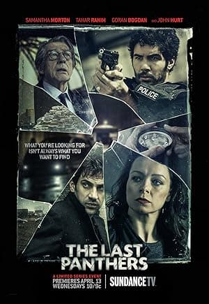 The Last Panthers