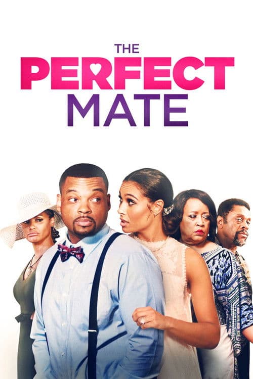The Perfect Mate (2020)
