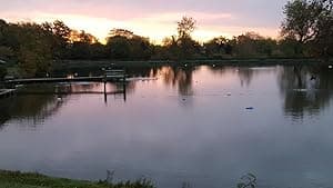 The Ponds (2018)