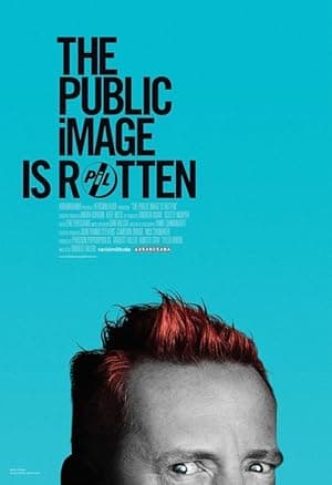 The Public Image Is Rotten (2017)