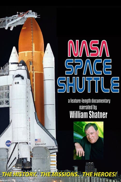 The Space Shuttle (2011)