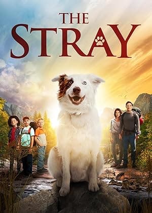 The Stray (2017)