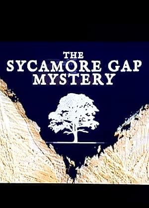 The Sycamore Gap Mystery