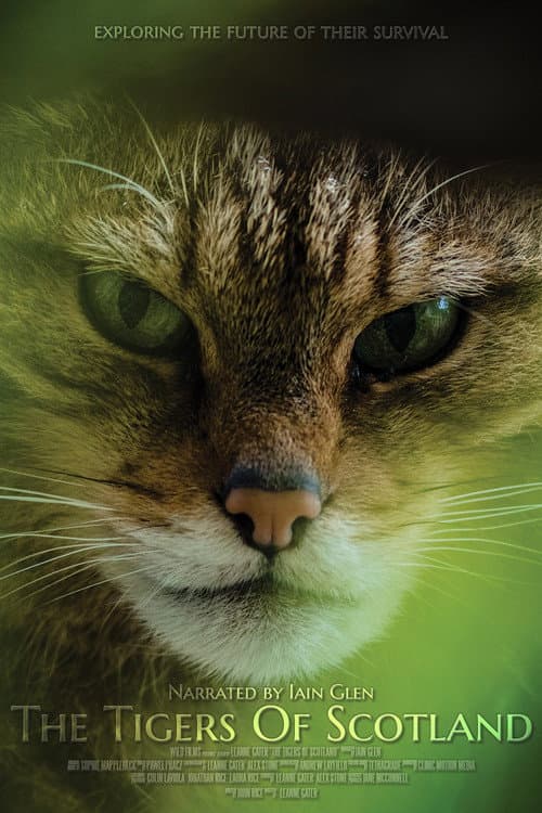 The Tigers of Scotland (2017)