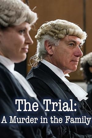 The Trial: A Murder in the Family (2017)