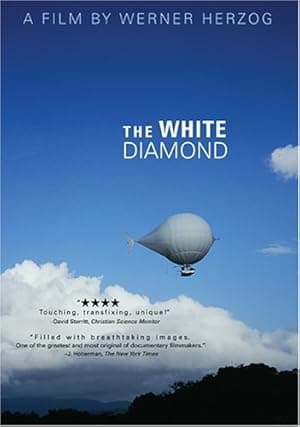 The White Diamond (2004)