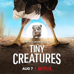 Tiny Creatures (2020)