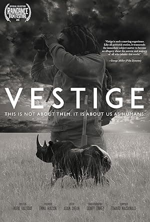 Vestige (2023)
