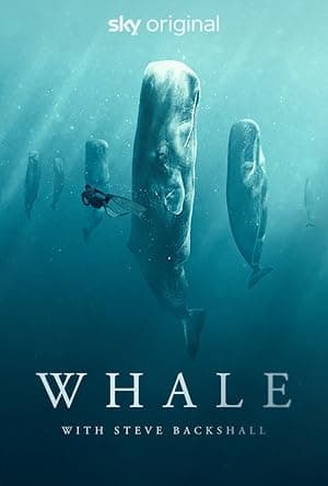 Whale with Steve Backshall (2023)
