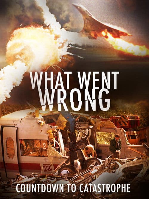 What Went Wrong: Countdown To Catastrophe (2019)
