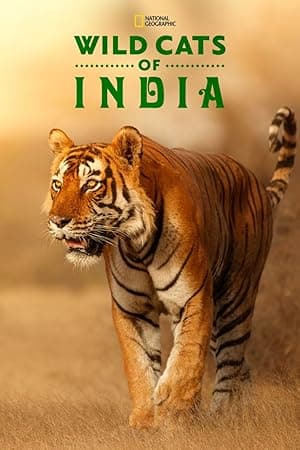 Wild Cats of India (2019)