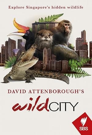 Wild City