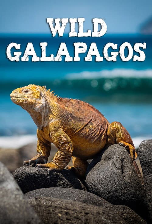 Wild Galápagos (2017)