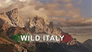 Wild Italy