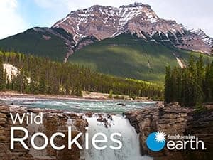 Wild Rockies (2016)