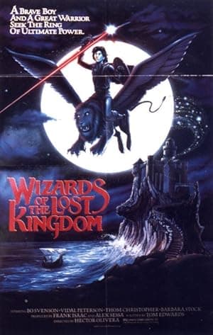 Wizards Of The Lost Kingdom