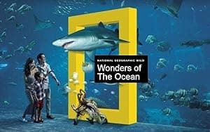 Wonders of the Ocean (2020)