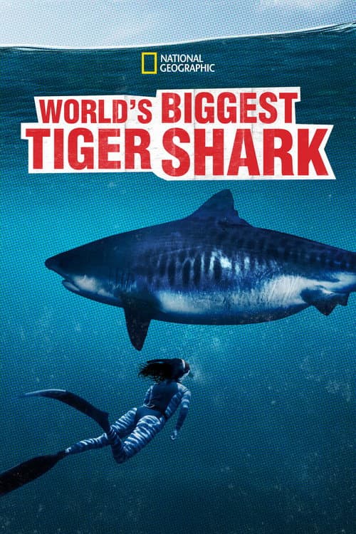 World's Biggest Tiger Shark (2020)