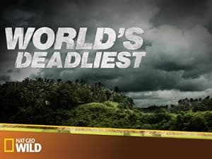 World's Deadliest (2010)