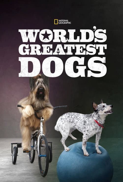 World's Greatest Dogs (2016)
