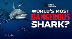 World's Most Dangerous Shark? (2021)