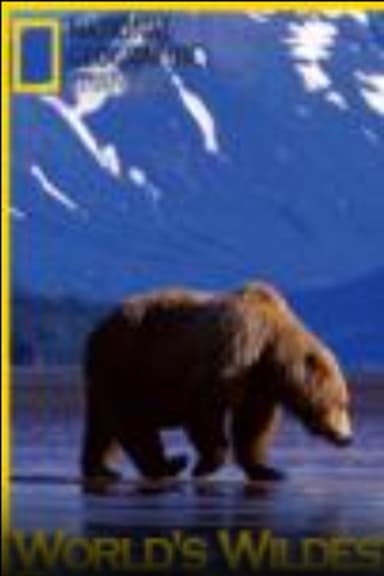 World's Wildest Encounters