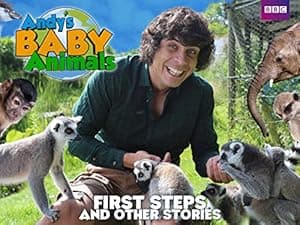 Andy's Baby Animals