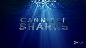 Cannibal Sharks