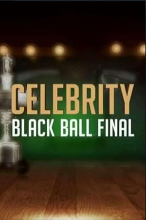 Celebrity Black Ball Final with Steve Davis