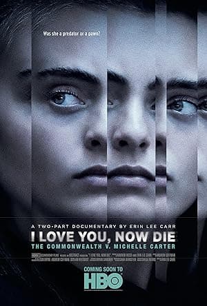 I Love You Now Die: The Commonwealth v. Michelle Carter