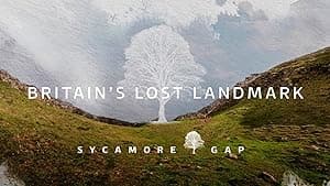 Sycamore Gap: Britain's Lost Landmark