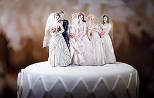 The Other Mrs Jordan: Catching the Ultimate Conman